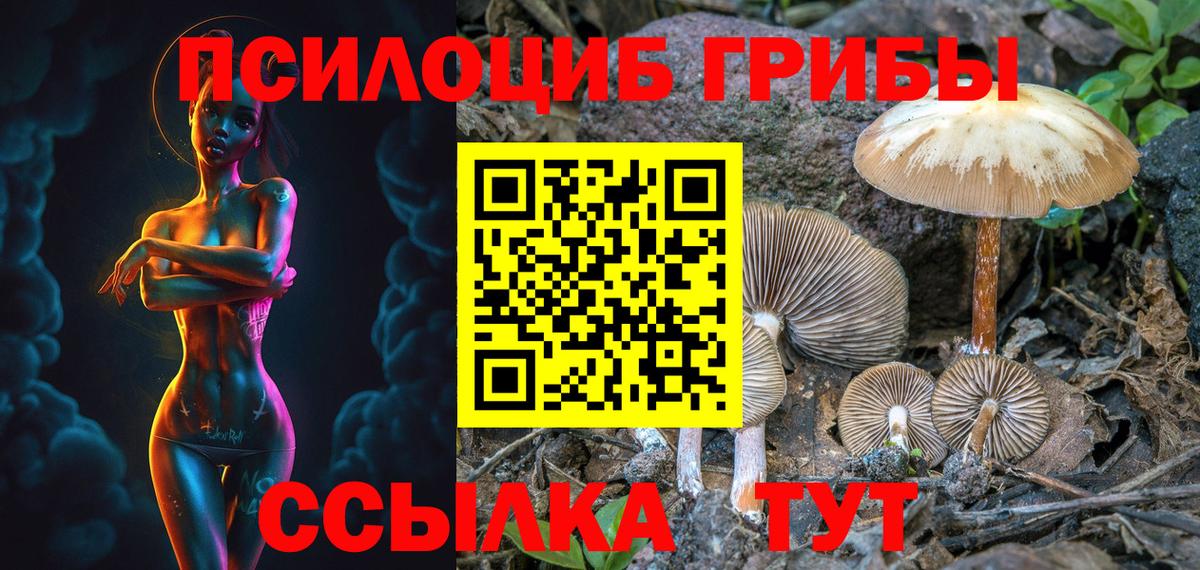Владивосток  Галлюциногенные грибы GOLDEN TEACHER  Вход с VPN  Галлюциногенные грибы Psilocybine cubensis 