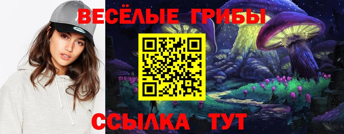 Галлюциногенные грибы мухоморы Владивосток